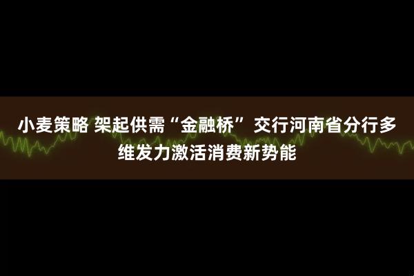 小麦策略 架起供需“金融桥” 交行河南省分行多维发力激活消费新势能