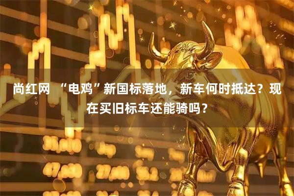尚红网 “电鸡”新国标落地,新车何时抵达?现在买旧标车还能骑吗?