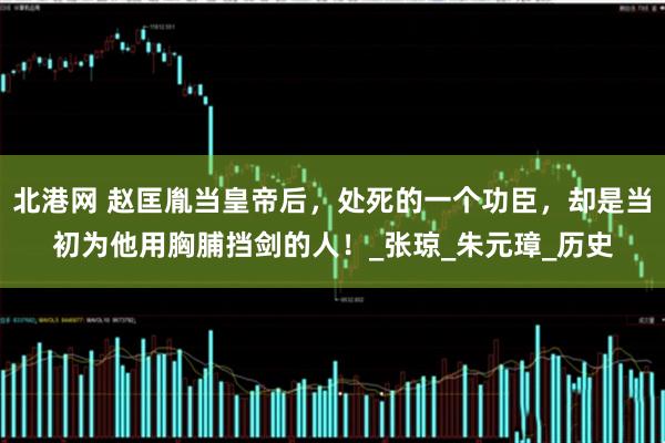 北港网 赵匡胤当皇帝后，处死的一个功臣，却是当初为他用胸脯挡剑的人！_张琼_朱元璋_历史