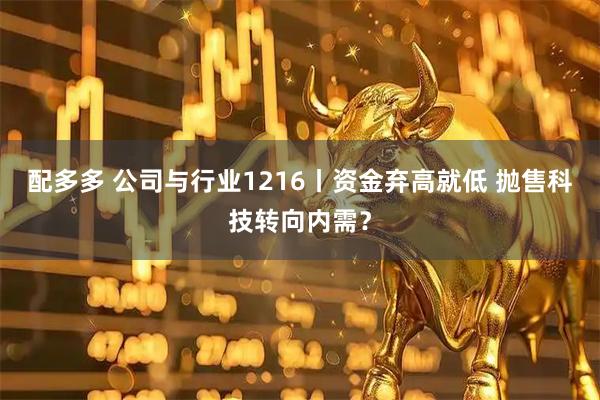 配多多 公司与行业1216丨资金弃高就低 抛售科技转向内需?